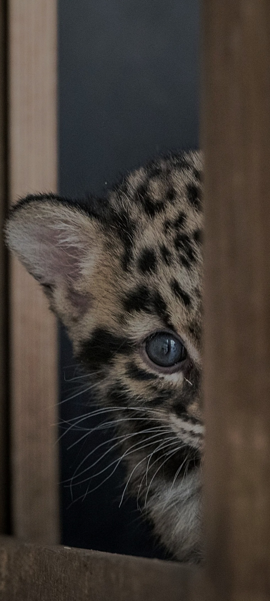 Profil de Younsse, 38 ans, rencontre gay à Fleury-la-Forêt